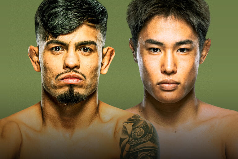 Brad Tavares vs. JunYong Park – Fight Preview & Analysis