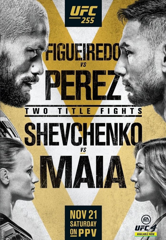 new UFC 255 poster