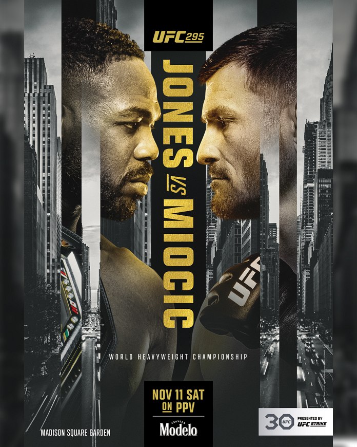 UFC 295 poster