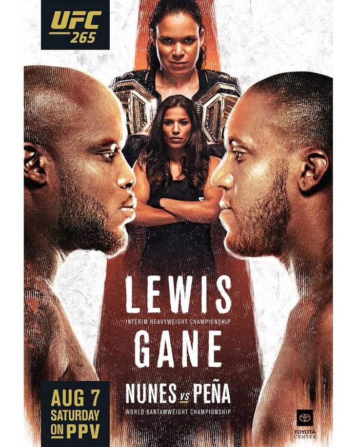 UFC 265 Fight Card Poster UFC 265 Fight Card Poster