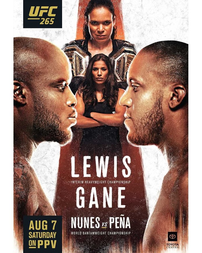 UFC 265 results poster