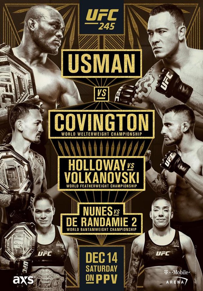 new UFC 245 poster