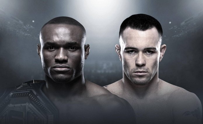 UFC 245 promo photo