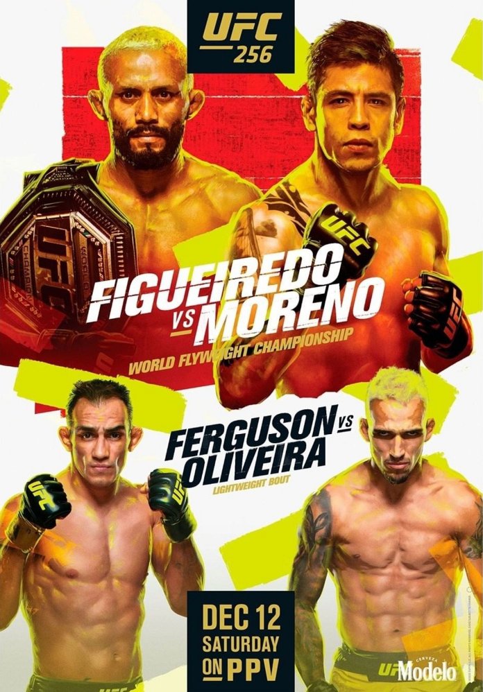 new UFC 256 poster