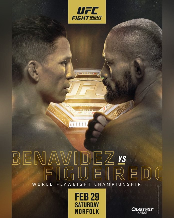 UFC Fight Night 169 results poster